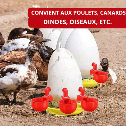 Distributeur Automatique d'eau | 10 Packs