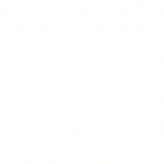 Cleaner Pro° | Spray Anti-Moisissure